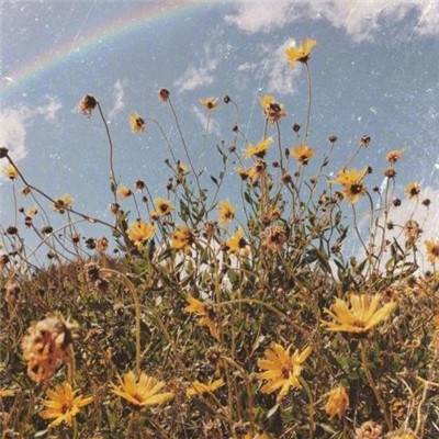 雷火亚洲电竞平台官网