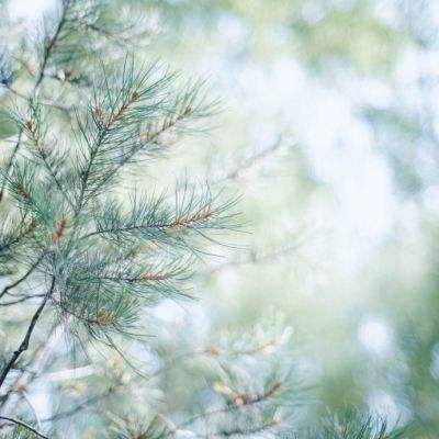 真人斗牛牛手机app下载