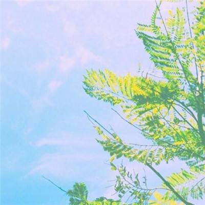 半岛官网入口网页版app下载