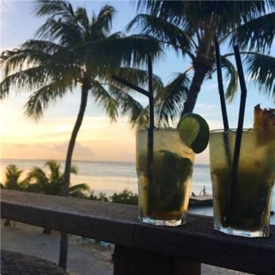 国内最大竞彩跟单APP