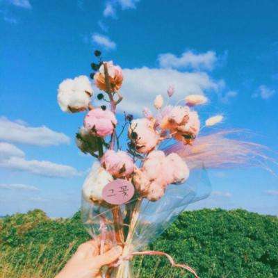 BB贝博ballbet官网登录器